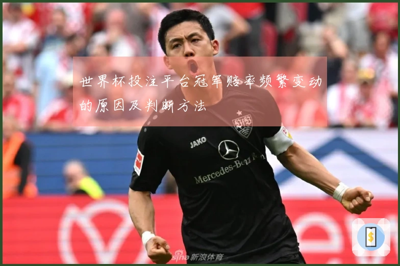 世界杯投注平台冠军赔率频繁变动的原因及判断方法
